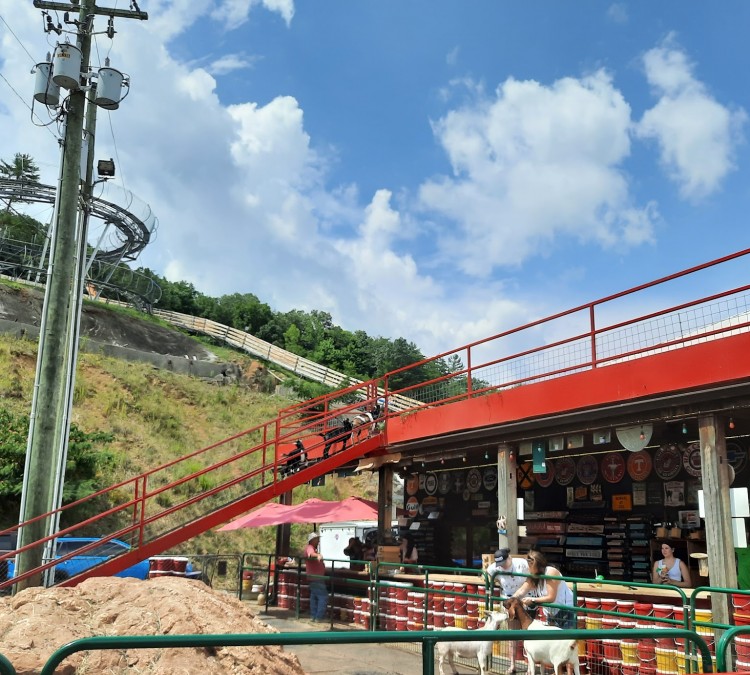 The Goat Coaster at Goats on the Roof (Pigeon&nbspForge,&nbspTN)